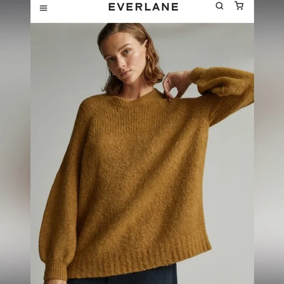BNWT Everlane SuperFuzz Alpaca Oversized Crew - Picture 5 of 9